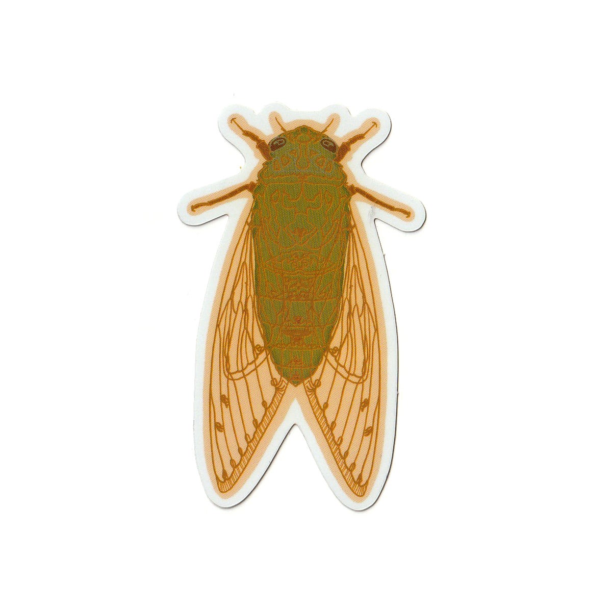 Cicada Sticker Alaskandesigned cicada-sticker-alaskandesigned